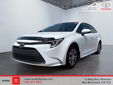 2023   Hybrid LE
