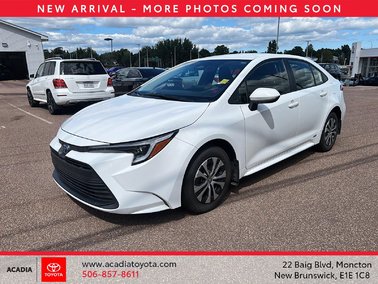 Hybrid LE 2023
