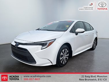 2023   Hybrid LE