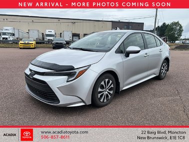 2023   Hybrid LE