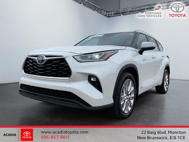 Hybrid Limited 2021
