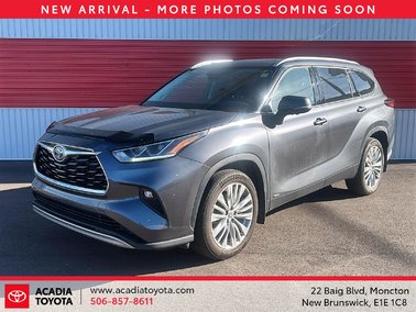 2023   Hybrid Limited