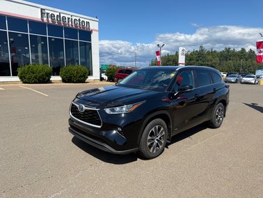 2023   Hybrid XLE