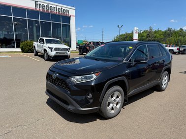 2020   Hybrid XLE