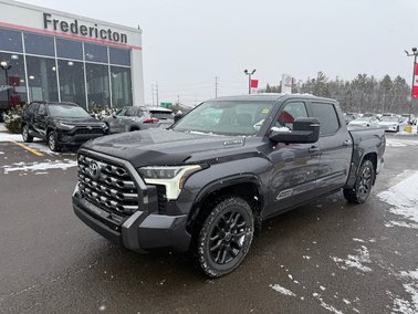 2025   Platinum Hybrid