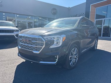 Terrain Denali