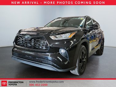 2024   Hybrid XLE
