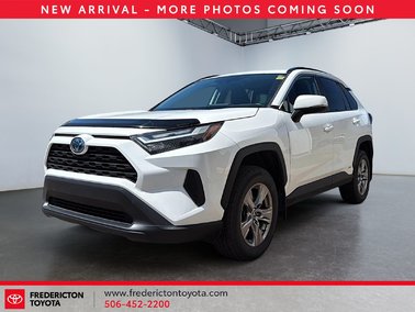 2024   XLE