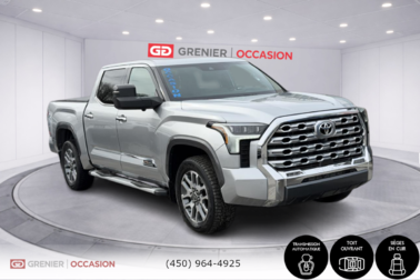 Tundra Platinum Crew Cuir Édition 1794