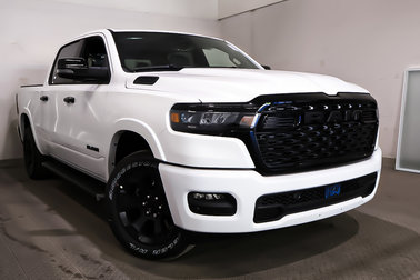 1500 BIG HORN