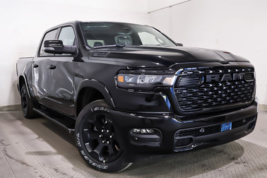 1500 BIG HORN