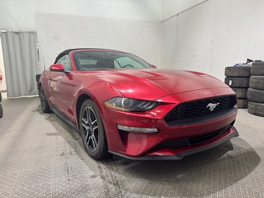 Mustang EcoBoost Convertible Bluetooth
