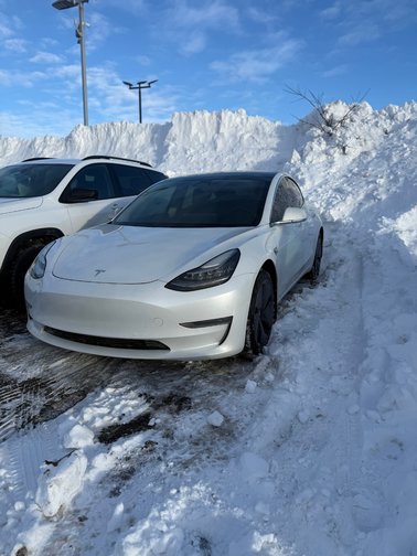 MODEL 3 Standard Range Plus