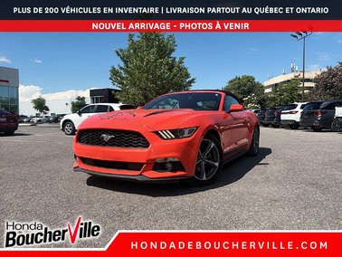 Mustang V6