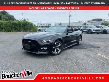 Mustang V6