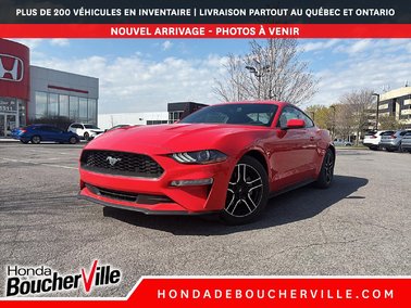Mustang ECOBOOST