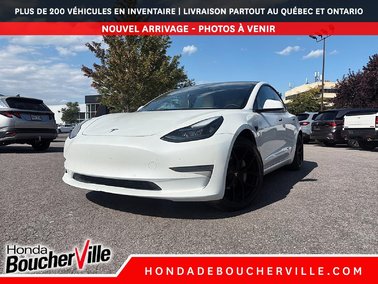 Model 3 STANDARD RANGE PLUS