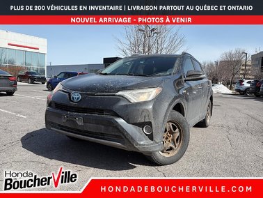 RAV4 Hybrid LE +