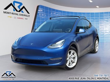 Model Y Long Range