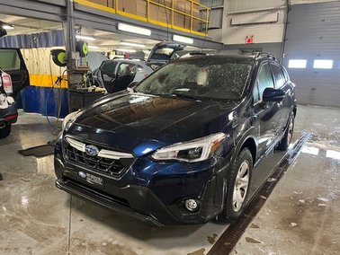 Crosstrek Limited