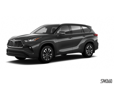 2025   XLE