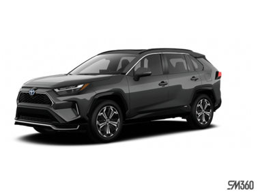 2025   XSE