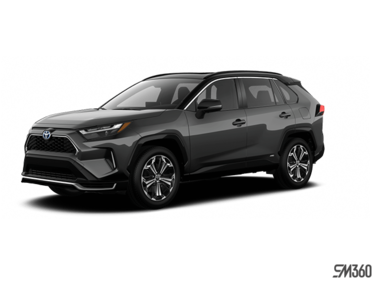 2025   XSE