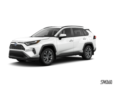 XLE PREMIUM 2025