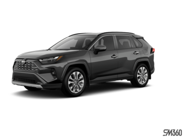 2025   LIMITED