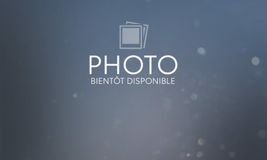 Santa Fe Ultimate Calligraphy