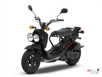2014 Honda RUCKUS 2014 Honda RUCKUS