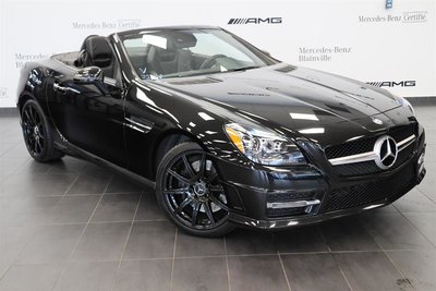 2014 Mercedes-Benz SLK250 Roadster Auto