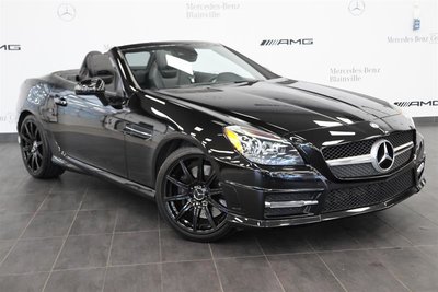 2014 Mercedes-Benz SLK250 Roadster Auto