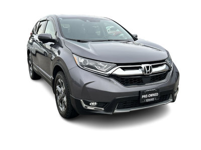 2019 Honda CR-V in Langley, British Columbia