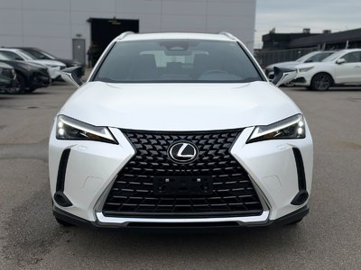 2025 Lexus UXh in Langley, British Columbia