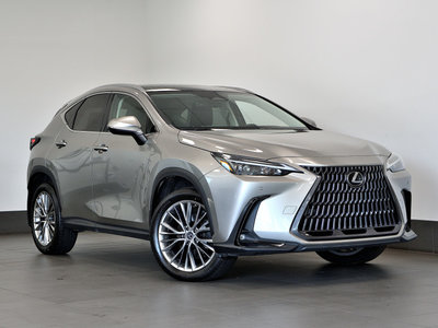 2022 Lexus NX