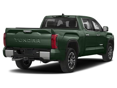 Tundra