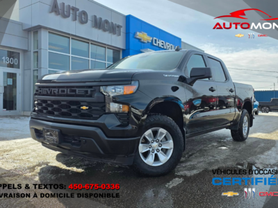 2024 Chevrolet Silverado 1500 WT 4X4
