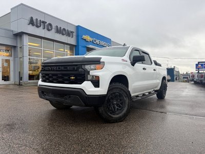 2022 Chevrolet SILVERADO Work Truck