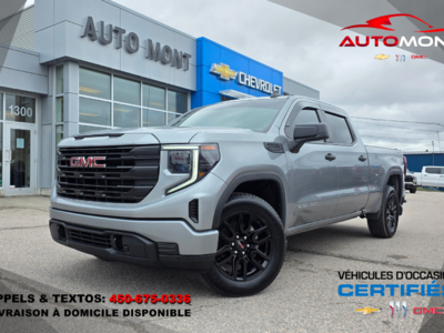 GMC Sierra 1500 Pro 4X4 2024