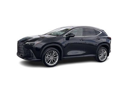 2024 Lexus NX in Calgary, Alberta