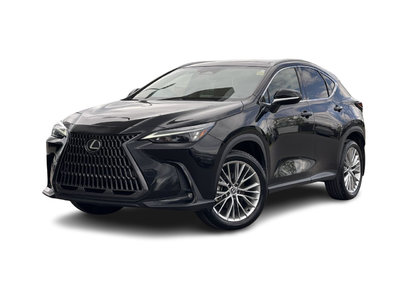 2024 Lexus NX in Calgary, Alberta