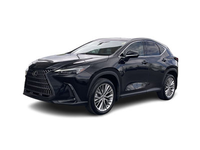 2024 Lexus NX in Calgary, Alberta