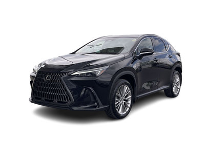 2024 Lexus NX in Calgary, Alberta