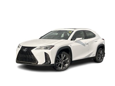 2021 Lexus UX in Calgary, Alberta