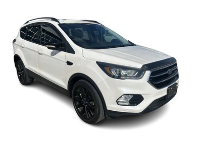2017 Ford Escape in Bolton, Ontario