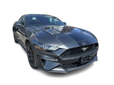 2019 Ford Mustang in Bolton, Ontario