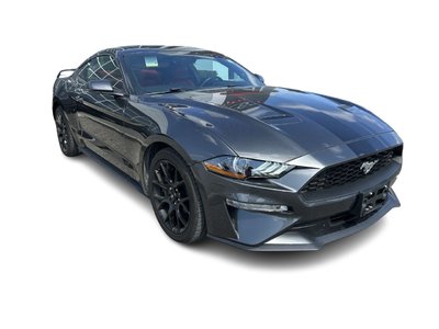 2019 Ford Mustang in Bolton, Ontario