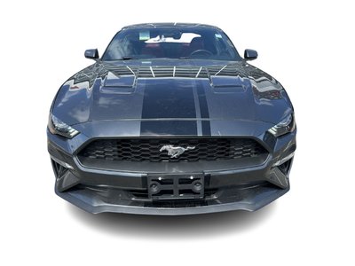 2019 Ford Mustang in Bolton, Ontario