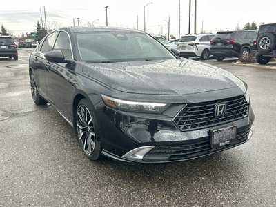 2024 Honda Accord in Bolton, Ontario